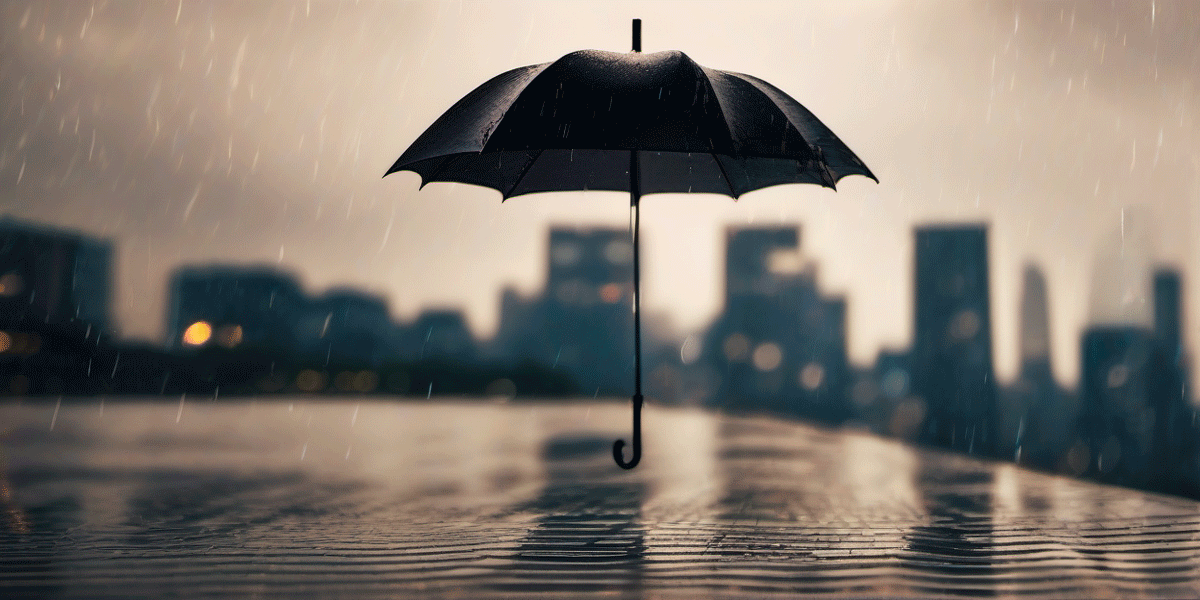 Why Did I Build This On WordPress?